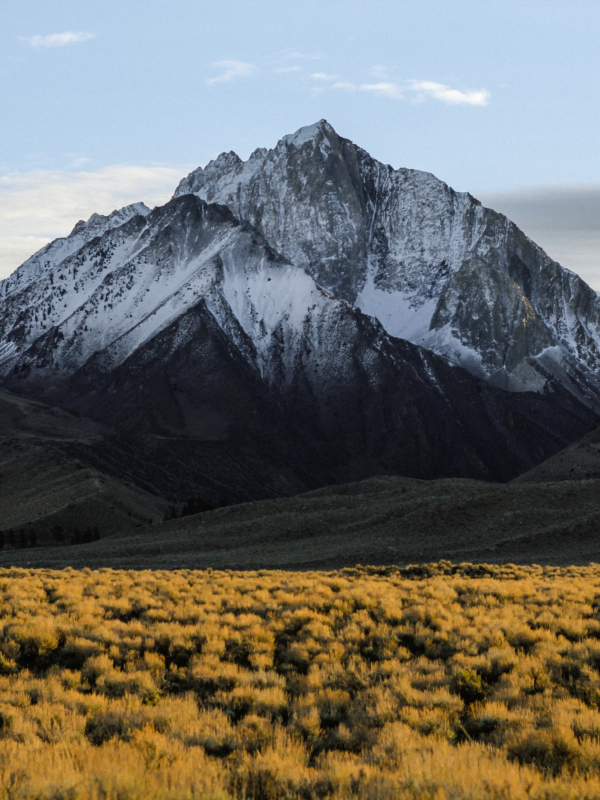 Outfits Mujer Snow Mountains 02